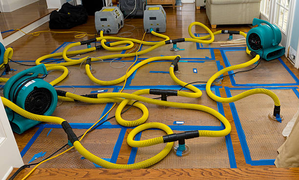 Professional Emergency Water Removal technician working in Montague, CA
